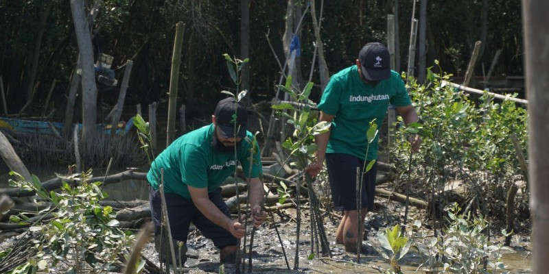 Environmental Social Governance atau ESG, Langkah Penerapan dan Checklist untuk Perusahaan Anda